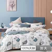 貝兒居家寢飾生活館 100%天絲七件式兩用被床罩組 加大雙人 七彩夢溪