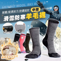 【TAS 極限運動】成人專用 中筒羊毛保暖雪襪 2雙入(滑雪羊毛襪 登山襪 滑雪襪 吸濕 保暖 滑雪襪)