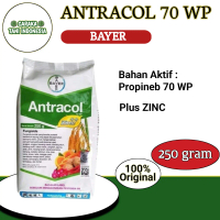 ANTRACOL 70 WP Kemasan 250 gram Fungisida Kontak Pembasmi Jamur Tanaman