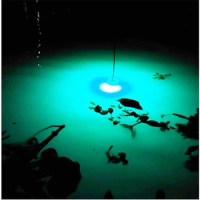 12V 30W 12V Fishing Light 27pcs 3030 LED Underwater Fishing Light Lures Fish Finder Lamp Attracts Prawns Squid Krill N