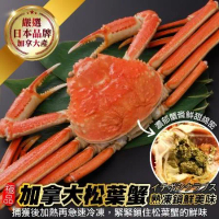 【海肉管家】日本品牌加拿大熟凍松葉蟹-整隻(350-500g/隻)