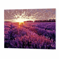 DIY 40*50cm Dream Provence Paint By Number Kits On Canvas Digital Oil Painting