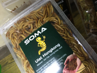 1/4 kg ulat hongkong kering SOMA