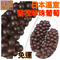 日本珍珠葡萄島根特A級一箱2kg【皇家果物】低溫免運