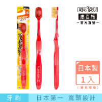 【EBiSU惠百施】倍護寬頭牙刷 中毛 1支入 顏色隨機(日本製No.1寬頭設計)