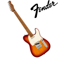 『FENDER』Player 系列限量琴款電吉他 Telecaster Roasted Maple / 公司貨保固