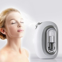 Facial Water Sprayer Electric Nano Face Steamer for Skin Hydration Portable Humidifier