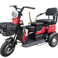 China Cheap adult electric tricycle 3 Wheeler Electric Vehicle Tricycle For 2 People