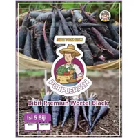 Bibit Premium Wortel Black | Biji Benih Wortel Hitam Nebula