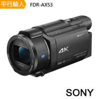 【SONY 索尼】FDR-AX53數位攝影機(平行輸入-繁中)~送SD256G副電座充包大腳架筆背帶大清