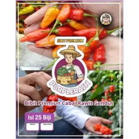 Bibit Premium Cabe Rawit Gendut | Biji Benih Cabe Rawit Gendut