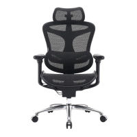 SIHOO Doro-C100 Ergonomic Office Chair