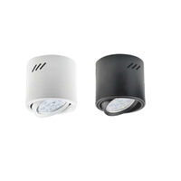 【燈王的店】 節能省電 LED AR111 12W 吸頂燈 筒燈 TYL343+LED-AR111-12W