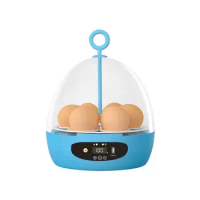 Fully automatic incubator for household small scientific and educational chicken, duck, pigeon, rutin chicken, and egg incubator