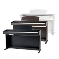 GEWA DP300G 88鍵 數位鋼琴 電鋼琴 德國製 模擬平台鍵盤(送耳機/鋼琴保養油/保固一年)