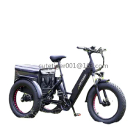 36V350W cargo tricycle electric/3 wheel ebike electric delivery tricycle 20*4.0 inch Fat tire high speed electric tricycles