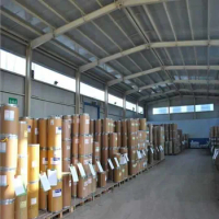 Hot selling 50g-1000g Chaga Mushroom Extract, Free Shipping
