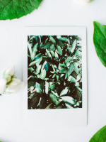 Polaroid Waterproof RC Photo Paper 10pcs 20pcs 30pcs 40pcs 50pcs Camera Photography