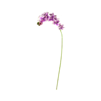 Bunga Artifisial 95 Cm Anggrek - Ungu