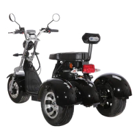 EEC/COC Certificated electric tricycles 1500W Double Seat 3 wheel Electric Scooters adult Citycoco