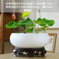 陶瓷銅錢草水培睡蓮一葉蓮碗蓮金錢草水養專用盆缸無孔大