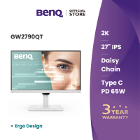 BenQ GW2790QT 27\ 2K IPS QHD USB-C Ergo Eye-Care Monitor 75Hz"