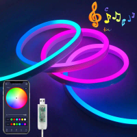DC5V USB RGBIC Neon LED Strip | 1M/2M/3M/5M/10M, Bluetooth App & Remote Dual Control | for DIY Neon 