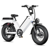 uwant Cheap electric Bicycle 1000W 48V ELECTR BIKE 20 inch Folding ebike off road bike