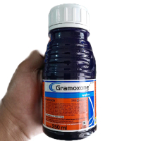 HERBISIDA GRAMOXONE  276SL 250 ML Tanaman