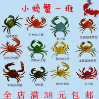 仿真海洋動物模型寄居蟹帝王蟹梭子螃蟹玩具擺件實心軟小禮物