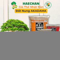 Đất nung Akadama trồng sen đá, hoa cây cảnh bonsai, đất nền thủy sinh - Nhập Khẩu Nhật Bản