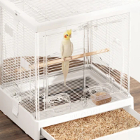Carrier Hut Cockatiel Bird Cage Chicken Hamster Aviary Courtyard Bird Cage Accessories Gabbia Pappagallo Pet Products RR50BC