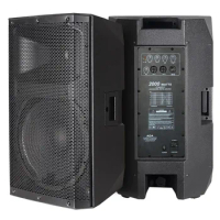 Accuracy Pro Audio CAC15ADA Professional 500W 15" Inch Powered Speaker Active Digital Power Amplifier DJ Speaker Box System