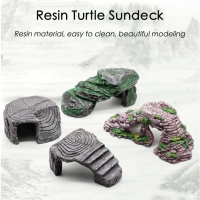 A Happy  Tortoise rest table amphibian table Brazilian tortoise tortoise reptile hiding hole fish ta