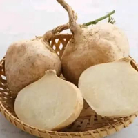 Buah bengkoang kupas