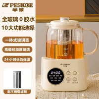 半球全玻璃花茶壺多功能養生壺家用玻璃壺小型辦公室燒水煮茶器