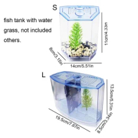 Transparent Betta Fish Tank with Water Grass Plastic Double-grid Betta Isolation Box Betta Isolation Box Single/Double Grid