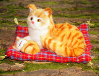 動物模型仿真貓會叫尾巴能動貓咪公仔毛絨寵物玩具母子布墊貓