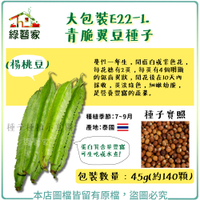 【綠藝家】大包裝E22-1.青脆翼豆種子45克