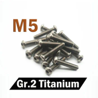 20pcs M5 Titanium Bolt Hexagonal Socket Allen Ti Screws GR2 M5 x 6 8 10 12 15 20 25 30 35 40 45 50mm