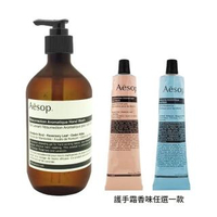 【Aesop】經典加倍柔嫩護手組(手部清潔露500ml+護手霜 75ml/線上百貨專櫃)