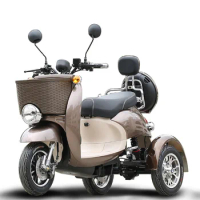 2023 Tricycle for Elderly Passenger Electric Vehicle Scooter Motorcycle Tricycle Three Wheel Bike