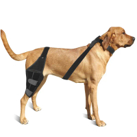 Dog leg brace, dog protective gear for ACL ligament tear, injury protection and rehabilitation strap