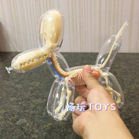 4D MASTER Balloon Dog Model Detachable DIY Educational Equipment Anatomy Tool Transparent Animal 27810 Canine Skeleton