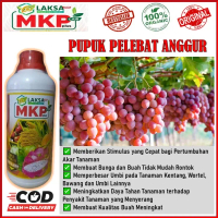 MKP Cair Plus LAKSA GROW pupuk organik pelebat anggur, apel, mangga, jeruk, buah naga, melon, dll - 
