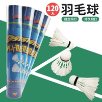 一般 羽毛球 CASTER 羽球 Z-羽球 /一袋10筒入(一筒12個)共120個入(定25) 羽毛球 練習用羽毛球 -群