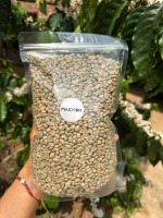สารเมล็ดกาแฟดิบ แม่กก Robusta เชียงราย & Arabica เชียงราย Maekok Coffee