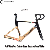 700C Disc Brake Roadbike Carbon Frame Full Inner Cable Handlebar And Full Hidden Cable Bicycle Frame