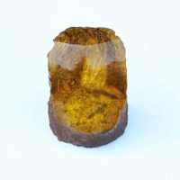 Amber specimens, small animals, living protoliths, dragonflies and rare fossil ornaments