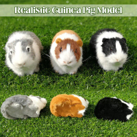 Model Haiwan Babi Guinea Bulu Simulasi, Mainan Boneka Boneka Mewah, Patung Haiwan, 1x Toys